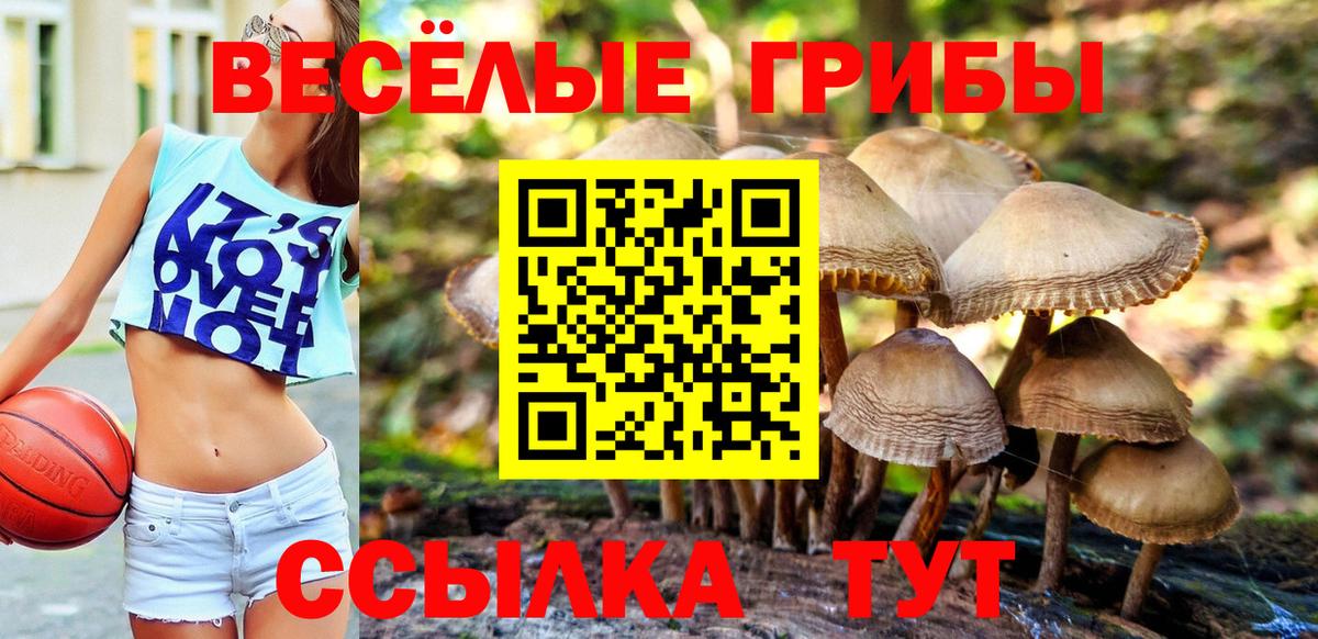 Среднеуральск  Галлюциногенные грибы MAGIC MUSHROOMS  Вход с VPN 